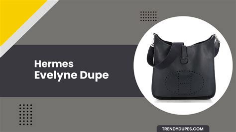 hermes evelyne bag dupe.